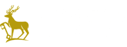 university of Surrey